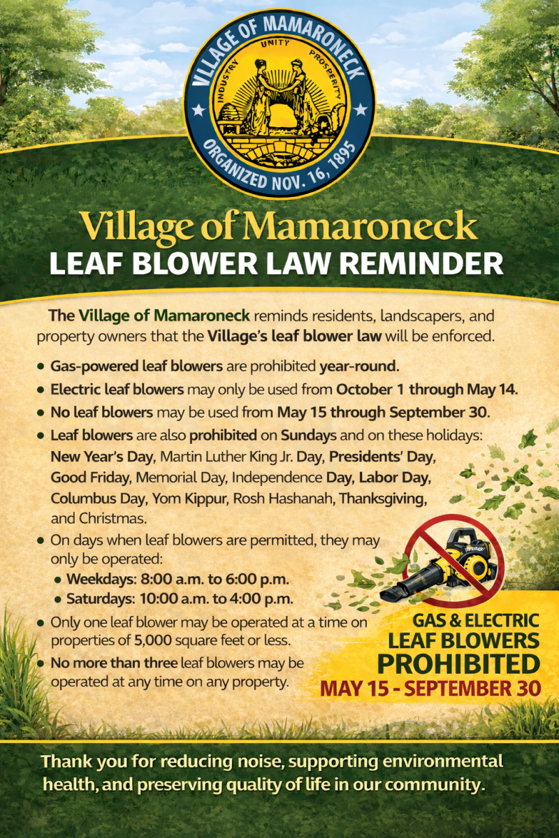 Leaf Blower Law Flyer 