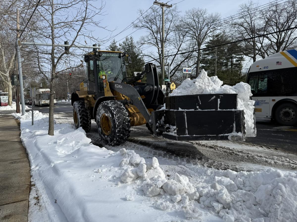 Snow Removal 