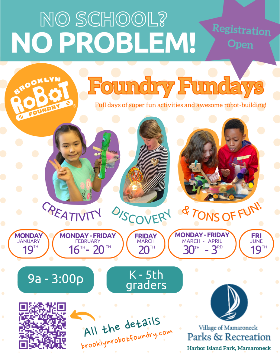 STEM Robot Program
