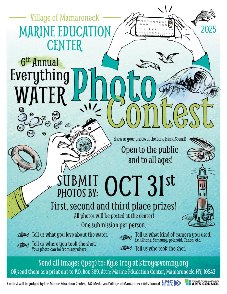 MEC Photo Flyer