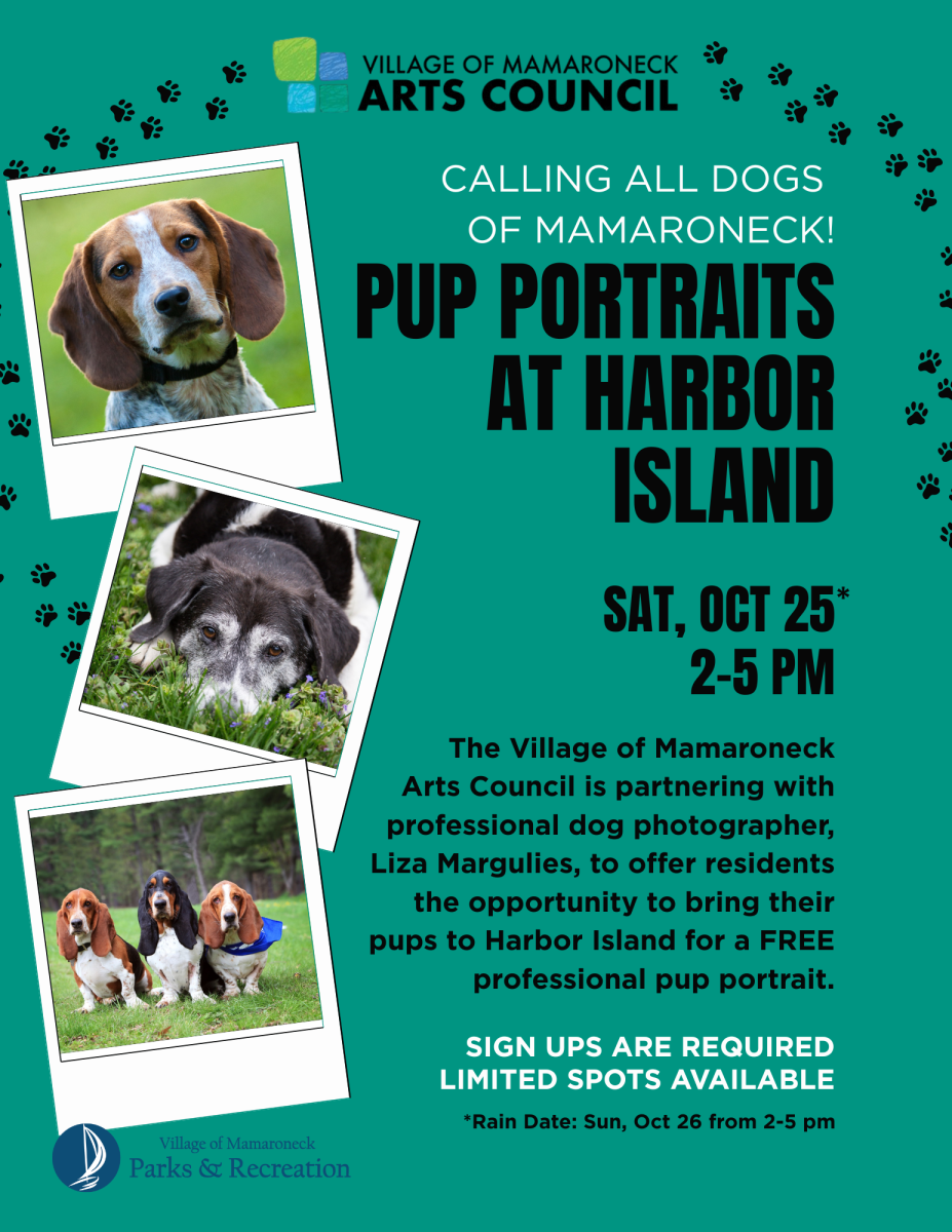 Pup Portraits at Harbor Island