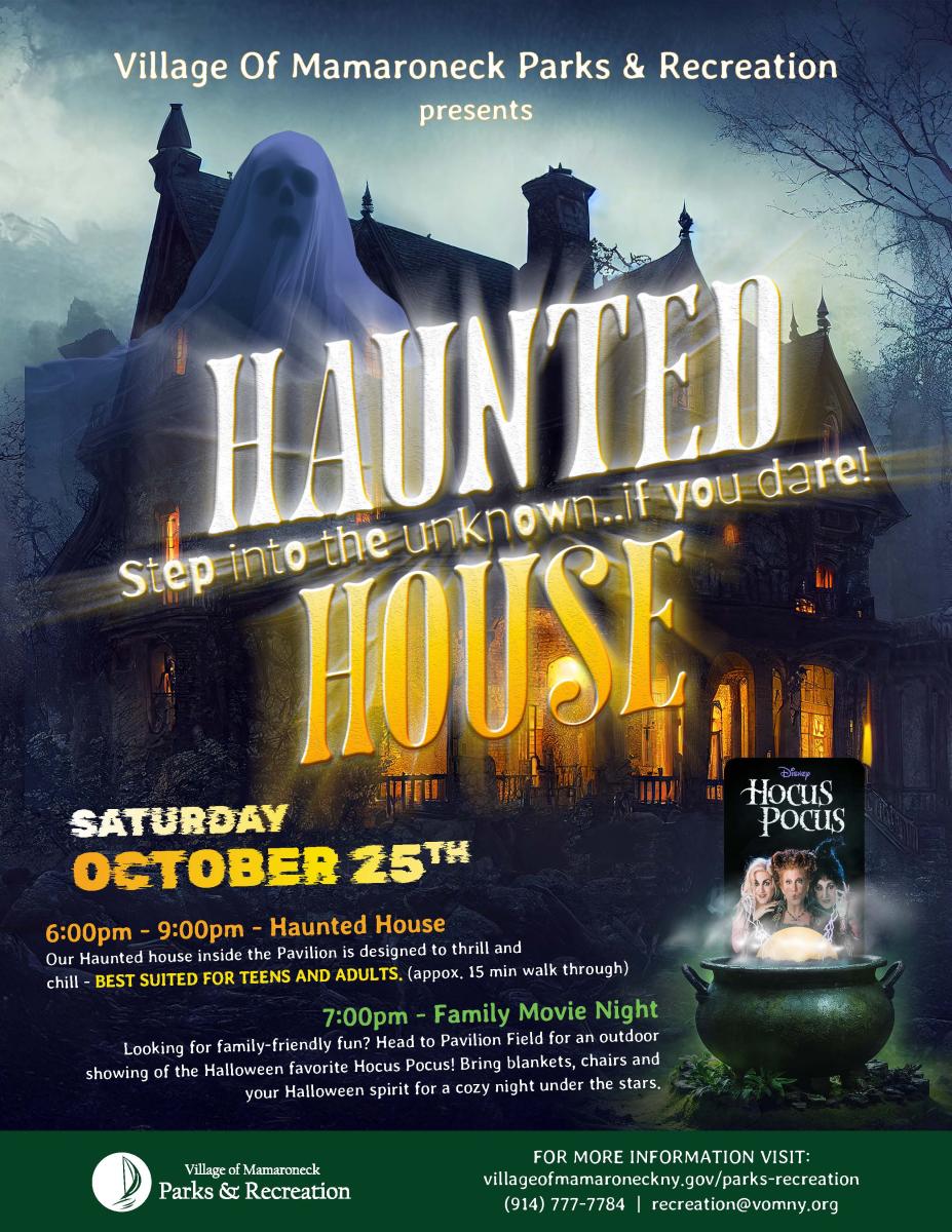 Haunted House &amp; Outdoor Movie Night Flyer 2025