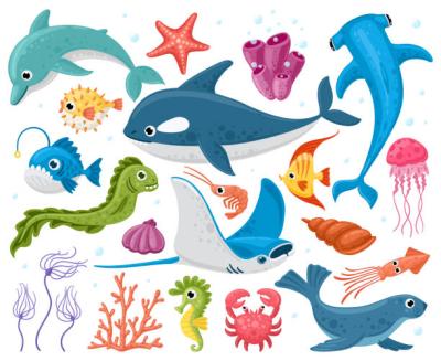 marinelife