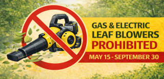 Leaf Blower Law Graphic 