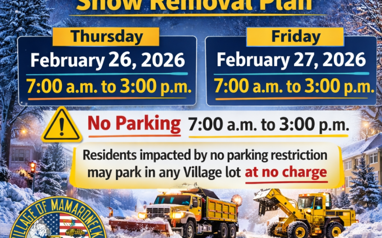Snow Removal Update