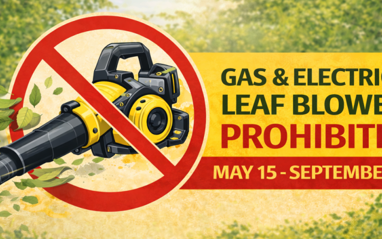 Leaf Blower Law Graphic 