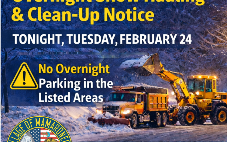 Overnight Snow Removal - 2-24-26