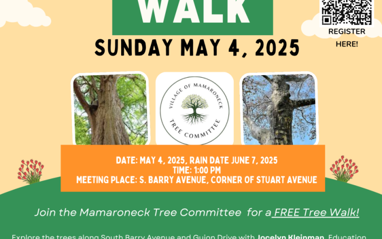 Spring Tree Walk